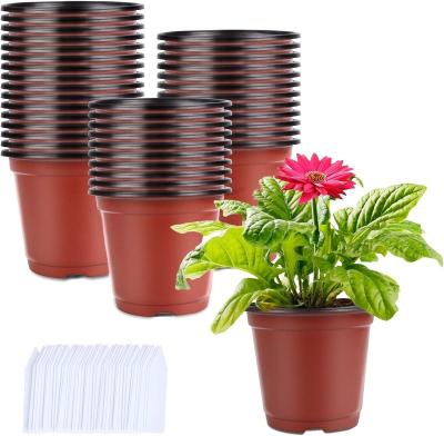 China Modern 4 Inch 250-Pack Plant Nursery Pots Seed Planting Pots Containers with 300 Labels for sale