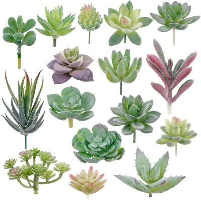 China PVC Plastic Artificial Succulents, 16 Packs Small Unpotted Plants Fake Artificial Succulents For Garden Layout Decor for sale