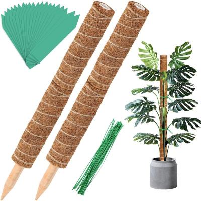 China Wood Moss Pole, 48 Inch Moss Poles - 4Pcs 12 Inch Coir Moss Climbing Sticks Totem Poles for Climbing Plants Plant Support Extension for sale