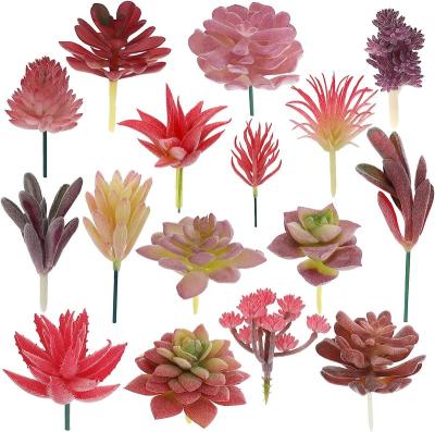 China Plastic Artificial Succulents Plants, 16 Pack Mini Artificial Plants for Craft, Assortment in Assembled Pink Flower Decoration for sale