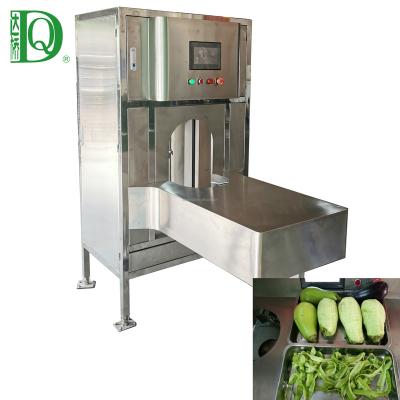 China High efficiency easy operate Daqiao factory direct sale large melon and fruit peeling machine eggplant peeling machine for sale