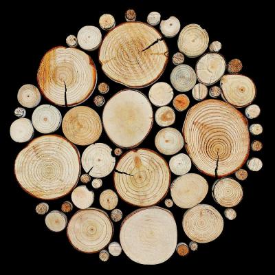 China Europe Poplar Pine Wood Slices Wooden Log Discs Sized Diameter From 2cm To 25cm for sale