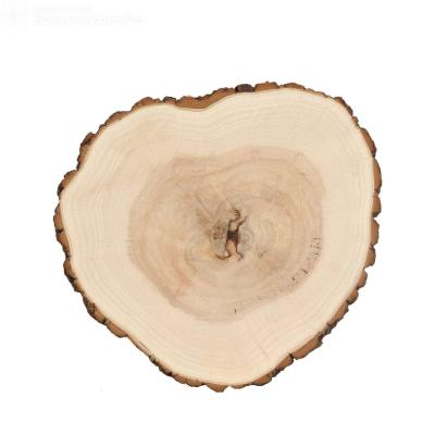 China Europe Diy Craft Wood Slices Circles With Unfinished Natural Wooden Tree Bark Log Discs Slices for sale