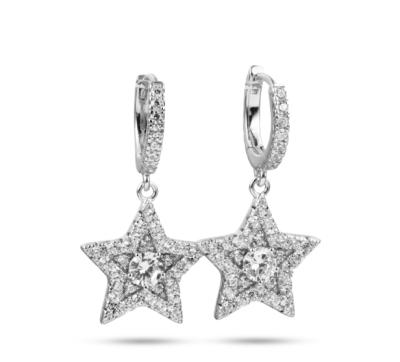 China 2020 New Design Hip Hop Bling Bling Star Circle Earring Rhodium Plated Earring Jewelry for sale