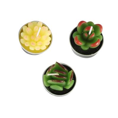 China Flameless Custom Design 6 Pack Set Succulent Green Plants Mini Cactus Shaped Die Cut Candles for sale