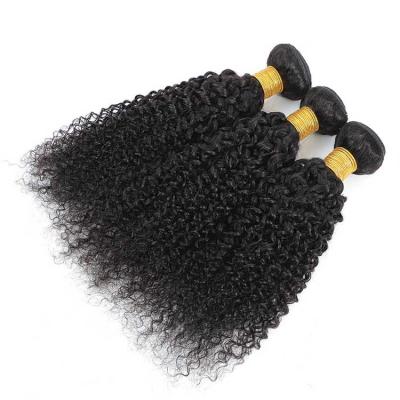 China Jerry Curl Curl Blue Band Jerry Curly Human Hair Bundle for sale