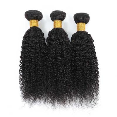 China Jerry Curl Human Curl No. 30 Inches Weft Brazilian Remy Wet And Wavy Colored Jerry Curly Hair Bundles for sale