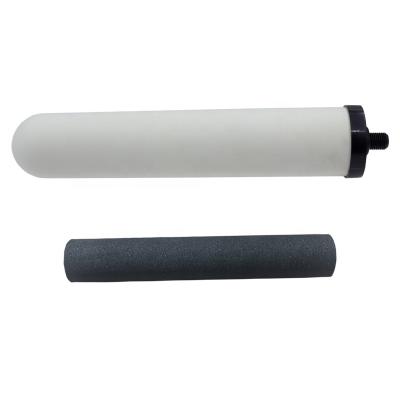 China Surface activated carbon ceramic filter, 10inch ceramic filter with carbon rod for water purifier, bsp thread for sale