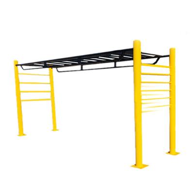 China Children Gym Ladder Steel Pipe 4m*0.8m*2m Monkey Bar for Outdoor and Indoor Exercise for sale