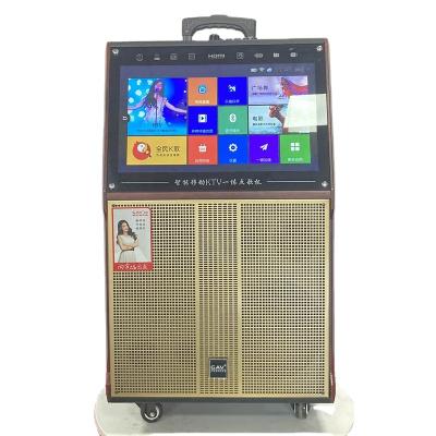 China Large Size Karaoke Sound System Powerful Shocking Smart Trolley PORTABLE Indoor Hot Selling Video Speaker for sale