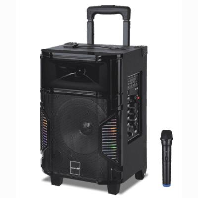 China LED Flashing Most Popular DJ Wireless Party Cart Outdoor Portable Speaker With MIC USB TF Card BT FM Radio for sale