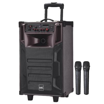 China Portable Superb Karaoke Flashing Light LED DJ Bass Full Range Cart Speaker For Outdoor for sale