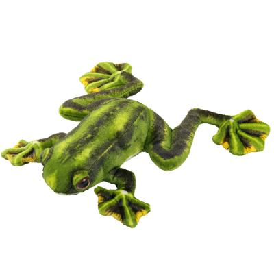 China Factory Supply 25cm Soft And Cute Popular Green Plush Toy Realistic Frog Stuffed Animal for sale