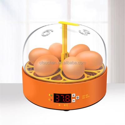 China Small 6 egg incubator 7 egg incubator machine Ouchen mini egg multifunctional commercial incubator sale for sale