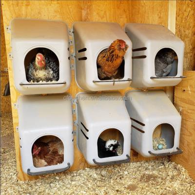 China Farms OUCHEN Chicken Nesting Boxes Plastic Single Chicken Cage For Sale for sale