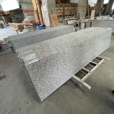 China 40 Legs Modern Good Quality Coungranite Kitchen Table Top Cut To Size Granite Countertops Variety Slab Countertop for sale