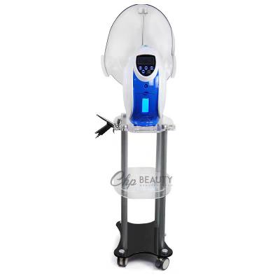 China Skin Tightening 2021 Hottest Spa Oxygen Spray Gun Oxygen Therapy Machine O2toderm Facial Oxygen Dome for sale