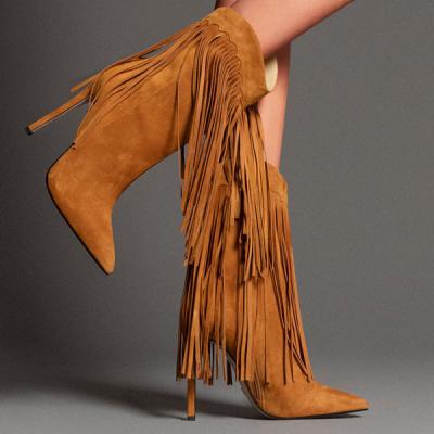 China Durable hoslasen brown tassels 12cm thin heel sexy women winter ankle boots for sale