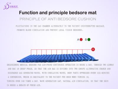 China Oem Odm Air Mattress Bed Sore Prevention Customizable Size Long Lifespan Easy To Clean for sale