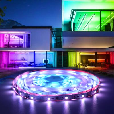 China Hot Sale 1M Full Color Programable IC RGB LED LANDSCAPE 1903 Strip Magic Led Strip Light for sale