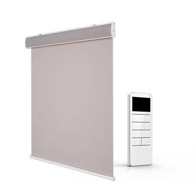 China Coastal High Quality Automatic Indoor Window Shades Roller Sunshade Electric Roller Blinds For Home for sale