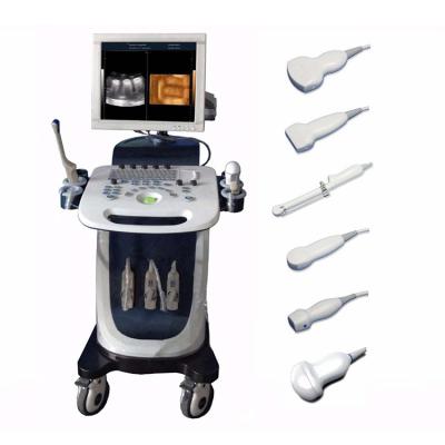 China Metal Color Doppler Ultrasound Machine Hospital 2D 3D 4D Full Digital for sale