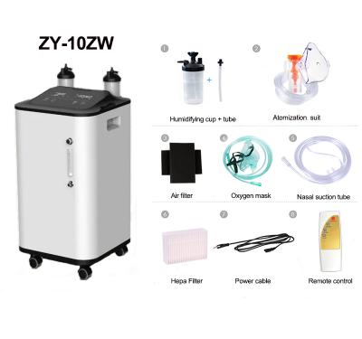 China Family Oxygen Bar Sports Center Home Medical Oxygen Generator With Atomization Medical Grade Dual Flow 10L Oxygen Concentrator for sale