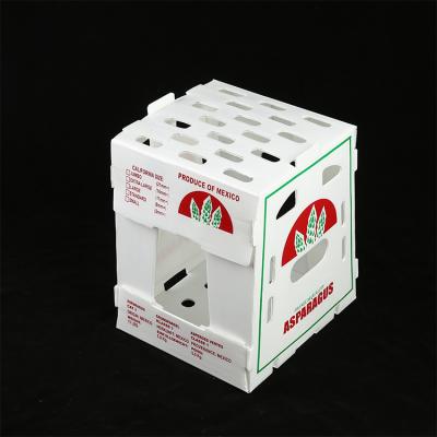 China Corrugated Plastic Mailing Box Recyclable Plastic Corrugated Sheet Box Storage Boxes for sale