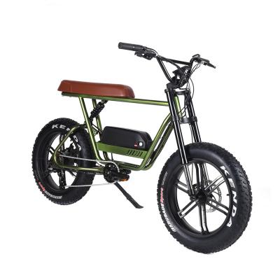 China High Quality Hydraulic Powerful City ebike Adults Disc Brake 48V Aluminum Alloy OEM Fat Tire Bike for sale