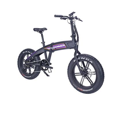 China Hot sale 48V aluminum alloy fat tire bike alloy disc brake double wall powerful adults city ebike for sale