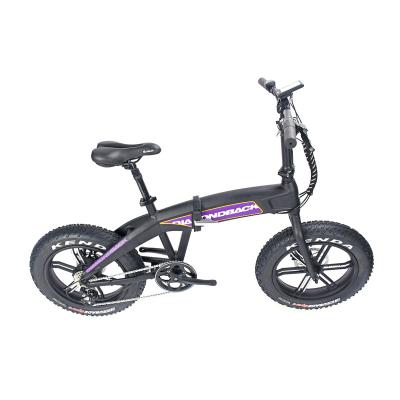 China Aluminum Alloy Factory Price 20 Inch Shimano 7S-8S Tire 48V 14.5AH Adults 48V Powerful Disc Brake Gears Fat Tire City Bike for sale