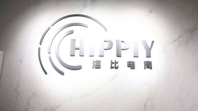 Verified China supplier - FUZHOU HIPPIH TECHNOLOGY  CO.,LTD