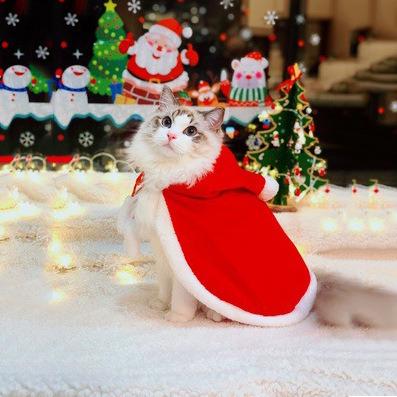 China Viable Style Festival Christmas Costume Coat Cute Pet Dog Cat Clothes for sale