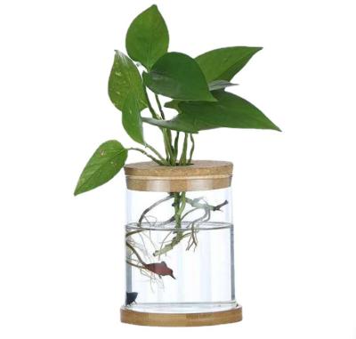 China Nordic Home Minimalist Decor Home Desktop Plant Vase Wood Frame Borosilicate Glass Hydroponic Glass Vase for sale