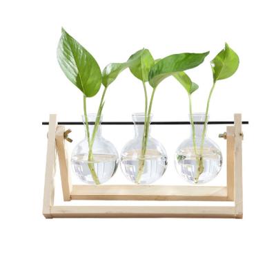 China Sale Indoor Plant Minimalist Mini Greenhouse With Wooden Stand Home Decor Hydroponic Glass Vase for sale