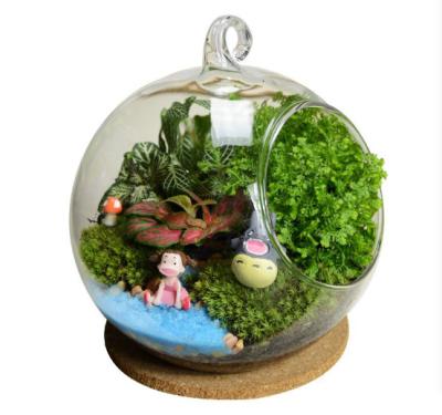 China Factory Direct Selling Moss Bottle Green Plants Landscape Glass Handwork Potted Ecological Meat Vase Plants Micro Minimalist Factory for sale