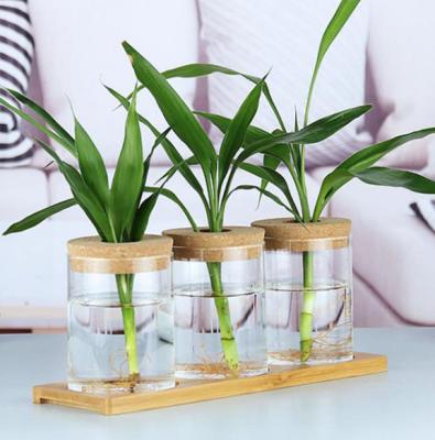 China Bulk minimalist IE hot sale transparent hydroponic planter crystal flower pots the cheap indoor vase for sale