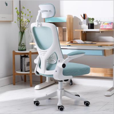 China Writing Comfortable And (Height) Adjustable Ergonomic Chair Student Adjustable Computer Sedentary Chair for sale