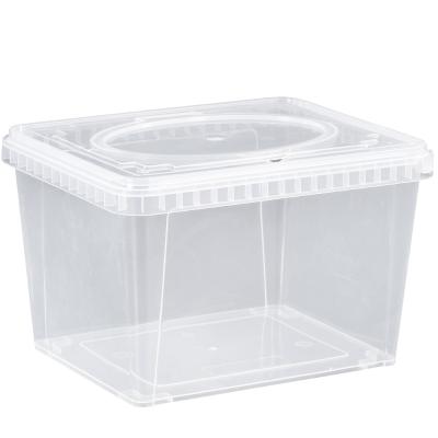 China Transparent Plastic Fresh-keeping Rectangular Freezer Box with Lid Keep Food Fresh for sale