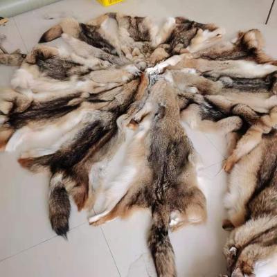 China Wholesale Cheap Thick And Fluffy Natural Coyote Skin True Color Real Price Coyote Pelt Fur For Hood Trim for sale