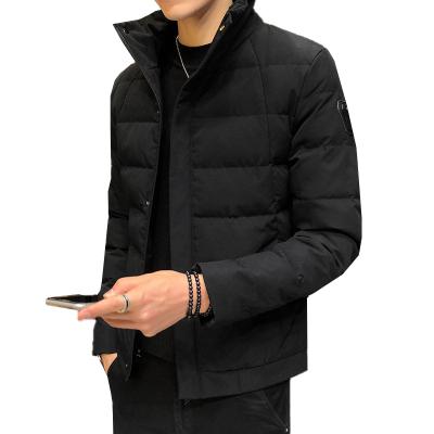 China stylish Anti-wrinkle china down jacket men's down jacket stripper coat for winter and autumn for sale