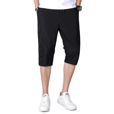 China Anti-wrinkle Factory Price Summer Outdoor Shorts Dyed Short Polyester Breeches Quick Drying Shorts for sale