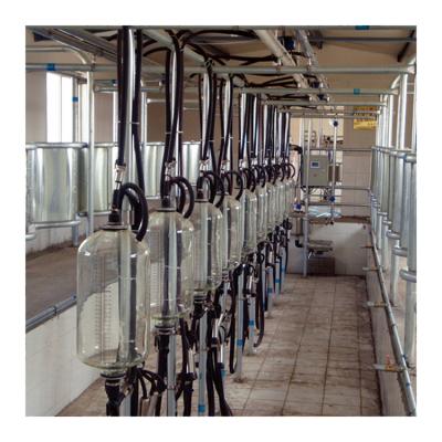 China High Efficiency Pipeline Automatic Cow Milking Machine System for sale