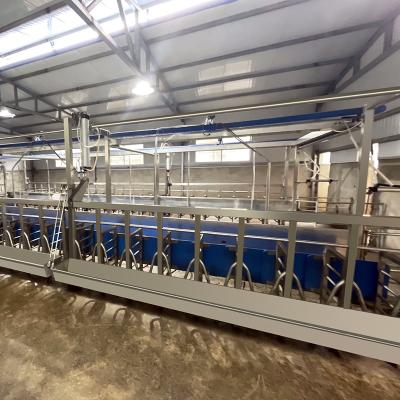 China Parallel Type Dairy Equipment Pipeline Goat Milking Parlor High Efficiency Automatic System for sale