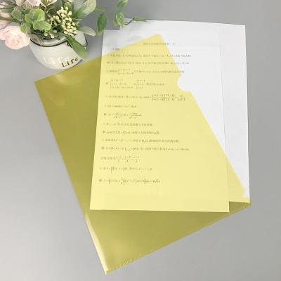 China Eco-friendly Expandable A4 Paper Size Document PP Colored Portfolios File Transparent Clear Plastic Hanging Office Folder for sale