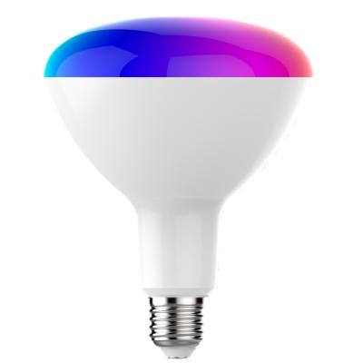 China Modern AC 100~240V LED Lighting Smart Home Alexa Google Home Enabled 220V 15W RGBCW E27 E26 B22 Tuya WiFi Smart Lighting LED Bulb for sale