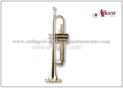 China Golden Lacquered Yellow Brass Bb Key Student Model Trumpet TP8001G BV Approval for sale