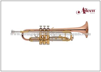 China Bb Upgrade Nickel Silver Brass Musical Instruments Student Trumpet With Premium Case for sale