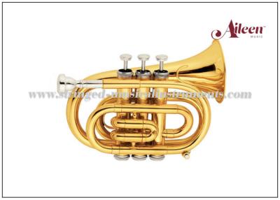 China Mini Brass Musical Instruments Bb Key Pocket Trumpet / Student Model Trumpet HTP8504G for sale