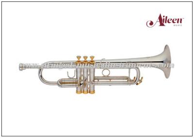 China Stainless Steel Piston Style Student Model Trumpet Silver Plated Finished for sale